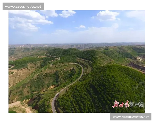 以体育登录为入口推动全民健身数字化服务新生态平台建设与创新发展